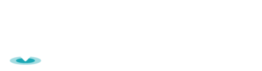 mapall_logo_horizontal_darkbg_2colour